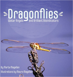 DRAGONFLIES: Water Angels and Brilliant Bioindicators 