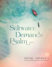 Cover of Saltwater Demands a Psalm