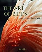 Book cover for The Art of Birds- Grace and Motion in the Wild