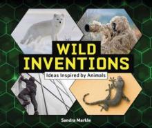 Book Cover for Wild Inventions