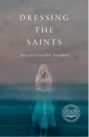 Cover of Dressing the Saints
