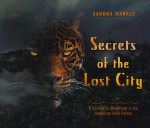 Secrets of the lost city cover