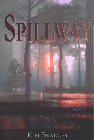 Spillway book cover