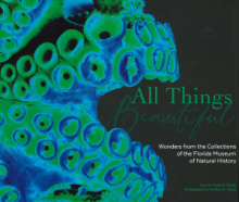 All things beautiful cover