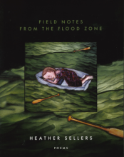 Field Notes from the Flood Zone cover