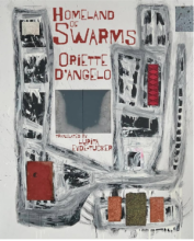 Cover of Homeland of Swarms
