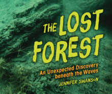 Book cover of The Lost Forest