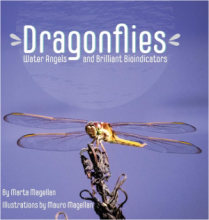 DRAGONFLIES: Water Angels and Brilliant Bioindicators 